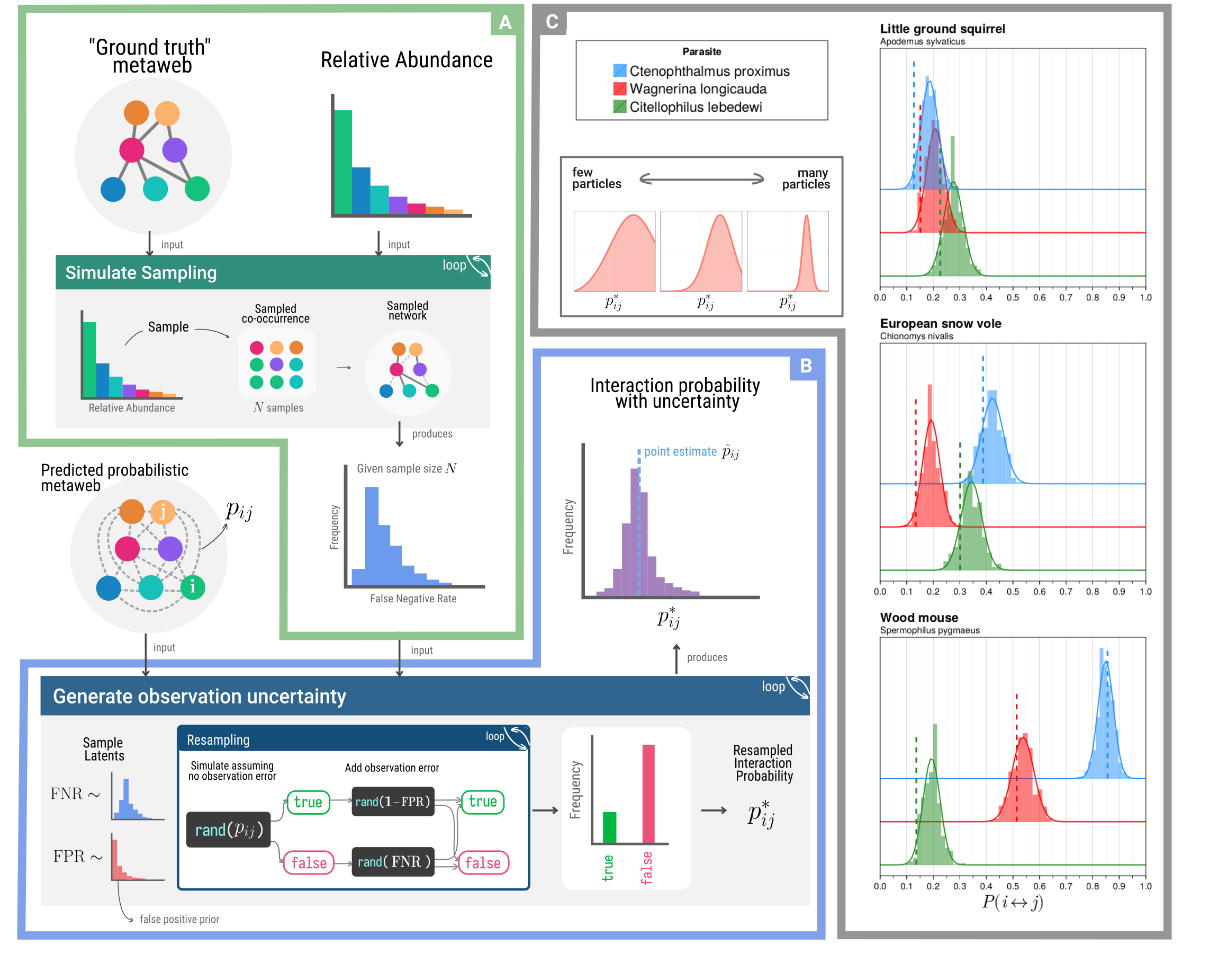 Figure 3: (a) The process for estimating the false-negative-rate (FNR) for an interaction dataset consisting of N total observed interactions. (b) The method for resampling interaction probability based on estimates of false-negative and false-positive rates. (c) The method for interaction probability resampling applied to three mammals and three parasites from the Hadfield et al. (2014) dataset. The original probability p_{ij} is indicated with a vertical dashed line. The histogram is simulated from the resampling process, and the line indicates the gaussian approximation to this distribution. Both resampling simulations and the gaussian approximation is applied with n_p =150
